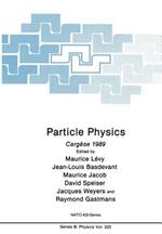 Particle Physics: Cargèse 1989