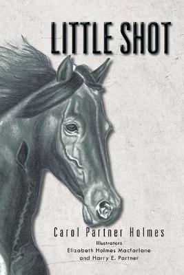 Little Shot - Carol Partner Holmes - cover