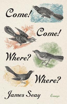 Come! Come! Where? Where?: Essays - James Seay - cover
