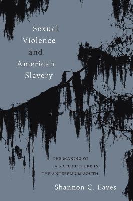 Sexual Violence and American Slavery: The Making of a Rape Culture in the Antebellum South - Shannon Eaves - cover