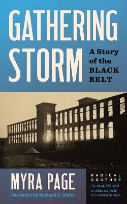 Gathering Storm: A Novel of the Black Belt - Myra Page - cover
