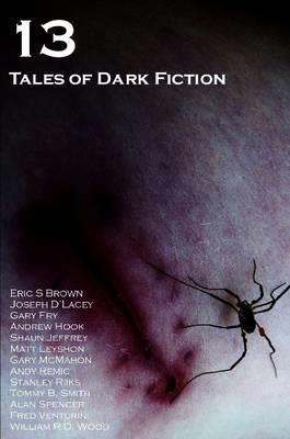 13: Tales of Dark Fiction - Adam Bradley,Tommy B. Smith,Eric S Brown - cover