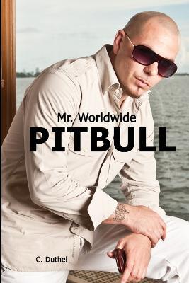 Pitbull - Mr. Worldwide - C Duthel - cover