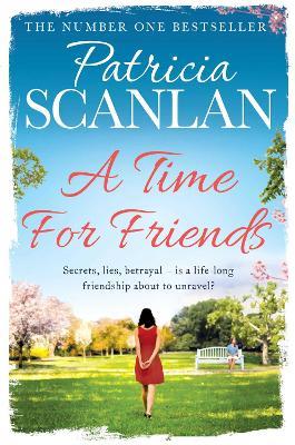 A Time For Friends: Warmth, wisdom and love on every page - if you treasured Maeve Binchy, read Patricia Scanlan - Patricia Scanlan - cover