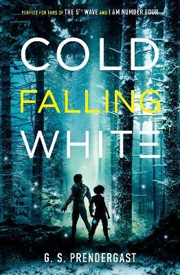Cold Falling White - Gabrielle Prendergast - cover
