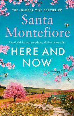 Here and Now: Evocative, emotional and full of life, the most moving book you'll read this year - Santa Montefiore - cover