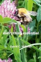 everything essential - David C McLean - cover