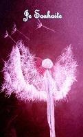 Je Souhaite - C Camus - cover
