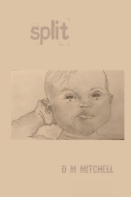 Split ! - D M Mitchell - cover