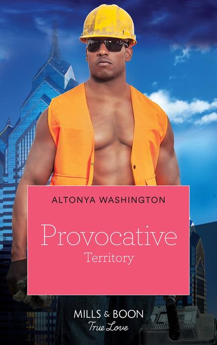 Provocative Territory (Kimani Hotties, Book 38)