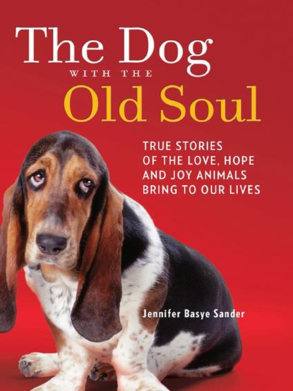 The Dog With The Old Soul