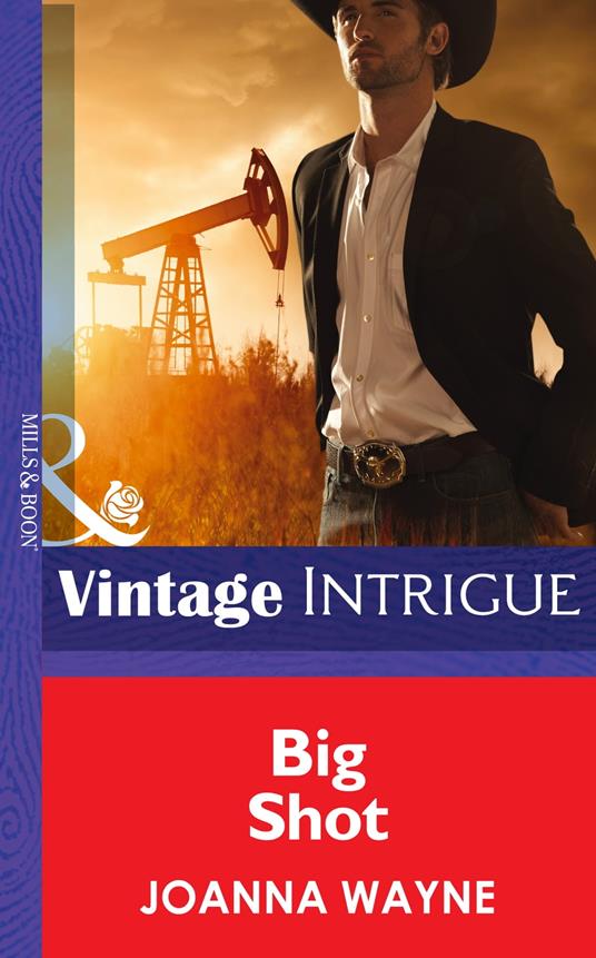 Big Shot (Mills & Boon Intrigue) (Big 'D' Dads, Book 3)