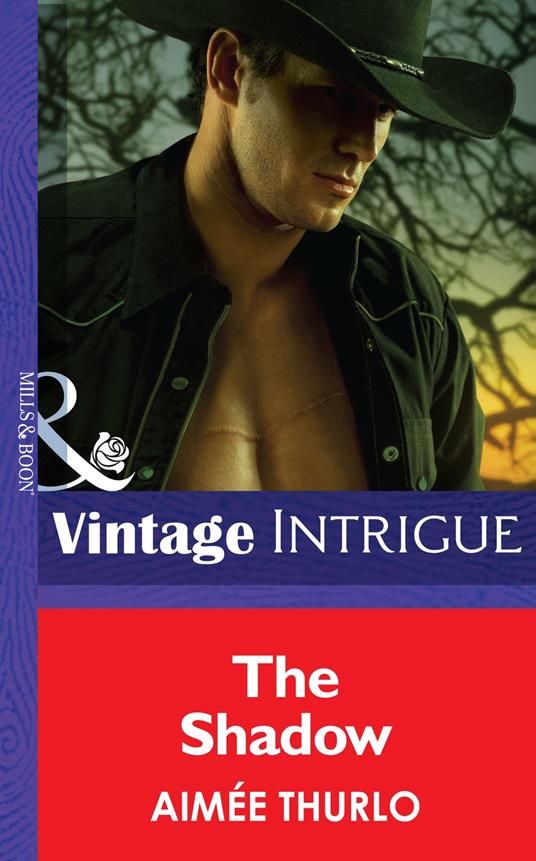 The Shadow (Mills & Boon Intrigue) (Brotherhood of Warriors, Book 5)