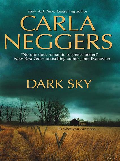 Dark Sky (Three Ways to Win/Authors at Sea, Book 1)