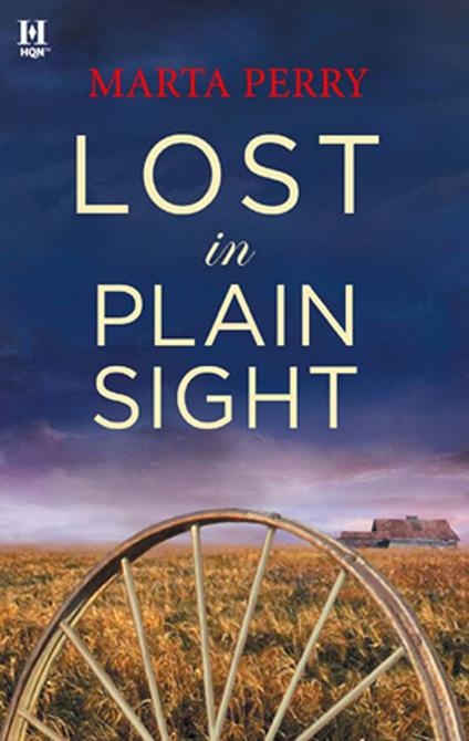 Lost in Plain Sight (Brotherhood of the Raven)