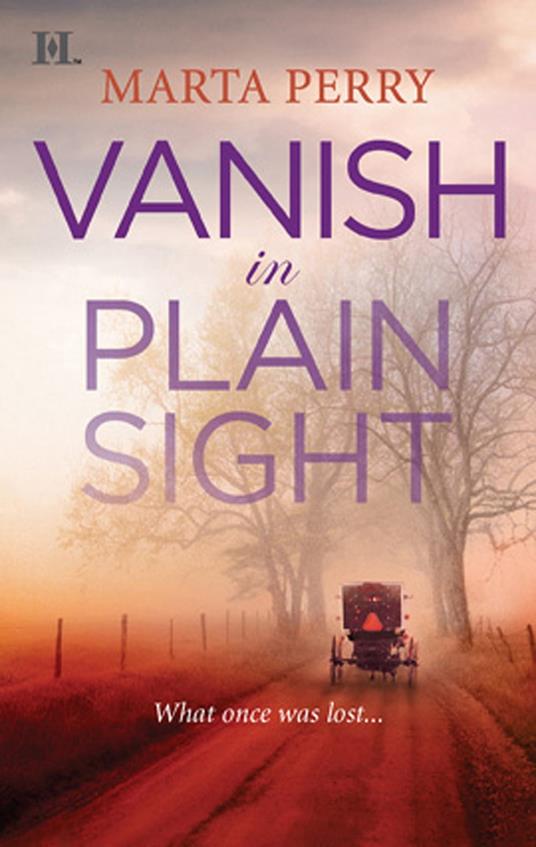 Vanish in Plain Sight (Brotherhood of the Raven, Book 2)