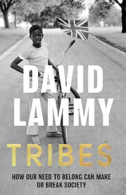 Tribes: A Search for Belonging in a Divided Society - David Lammy - cover