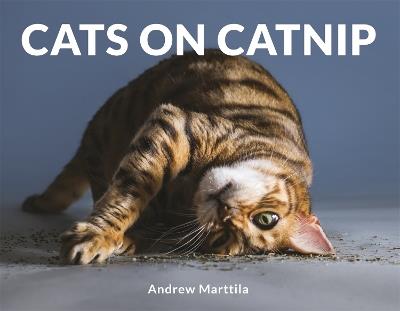 Cats on Catnip - Andrew Marttila - cover