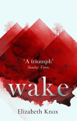 Wake - Elizabeth Knox - cover