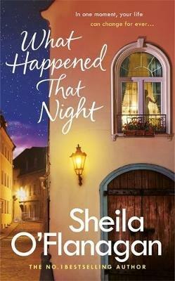 What Happened That Night: The page-turning holiday read by the No. 1 bestselling author - Sheila O'Flanagan - cover