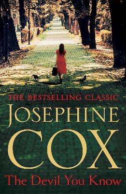 The Devil You Know: A deadly secret changes a woman's life forever - Josephine Cox - cover