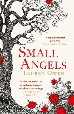 Small Angels: 'A twisting gothic tale of darkness, intrigue, heartbreak and revenge' Jennifer Saint - Lauren Owen - cover