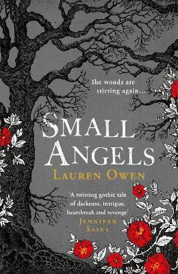 Small Angels: 'A twisting gothic tale of darkness, intrigue, heartbreak and revenge' Jennifer Saint - Lauren Owen - cover