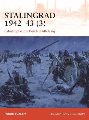 Stalingrad 1942-43 (3): Catastrophe: the Death of 6th Army - Robert Forczyk - cover