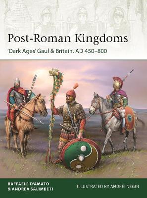 Post-Roman Kingdoms: 'Dark Ages' Gaul & Britain, AD 450-800 - Raffaele D'Amato - cover