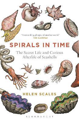 Spirals in Time: The Secret Life and Curious Afterlife of Seashells - Helen Scales - cover
