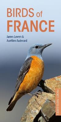 Birds of France - James Lowen,Aurélien Audevard - cover