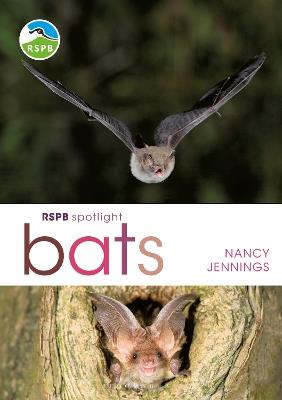 RSPB Spotlight Bats - Nancy Jennings - cover
