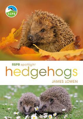 RSPB Spotlight Hedgehogs - James Lowen - cover