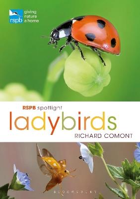 RSPB Spotlight Ladybirds - Richard Comont - cover