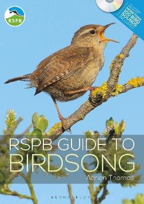 RSPB Guide to Birdsong - Adrian Thomas - cover