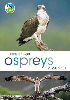 RSPB Spotlight Ospreys - Tim Mackrill - cover