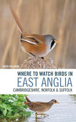 Where to Watch Birds in East Anglia: Cambridgeshire, Norfolk and Suffolk - David Callahan - cover