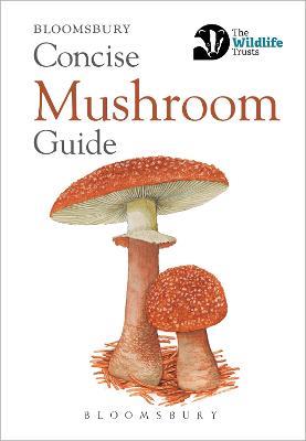 Concise Mushroom Guide - Bloomsbury - cover