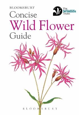 Concise Wild Flower Guide - Bloomsbury - cover