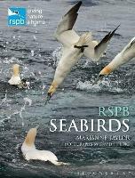 RSPB Seabirds - Marianne Taylor - cover