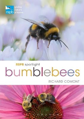 RSPB Spotlight Bumblebees - Richard Comont - cover