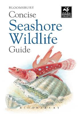 Concise Seashore Wildlife Guide - Bloomsbury - cover