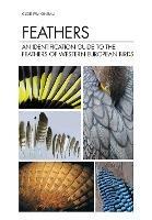 Feathers: An Identification Guide to the Feathers of Western European Birds - Cloé Fraigneau - cover