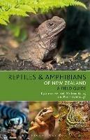 Reptiles and Amphibians of New Zealand - Dylan van Winkel,Marleen Baling,Rod Hitchmough - cover
