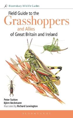 Field Guide to the Grasshoppers and Allies of Great Britain and Ireland: Grasshoppers, Crickets, Earwigs, Cockroaches, Mantids and Stick-insects - Peter Sutton,Björn Beckmann - cover