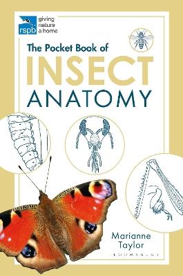 The Pocket Book of Insect Anatomy - Marianne Taylor - cover