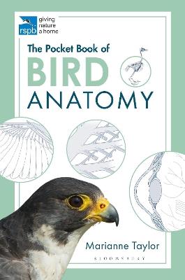 The Pocket Book of Bird Anatomy - Marianne Taylor - cover
