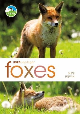 RSPB Spotlight: Foxes - Mike Unwin - cover
