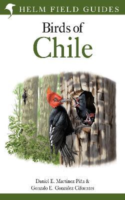 Field Guide to the Birds of Chile - Daniel E. Martínez Piña,Gonzalo E. González Cifuentes - cover