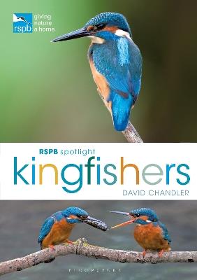 RSPB Spotlight Kingfishers - David Chandler - cover